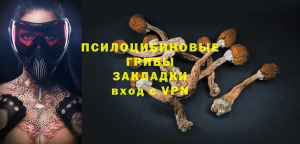 гашик Надым