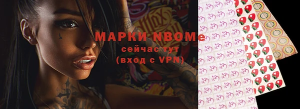 гашик Надым