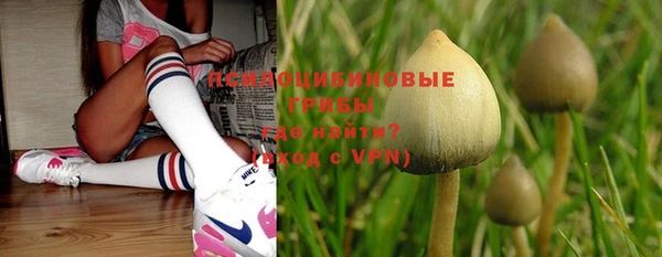 гашик Надым