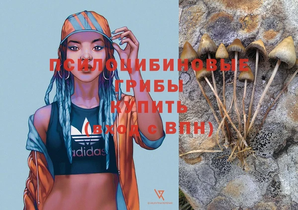 гашик Надым