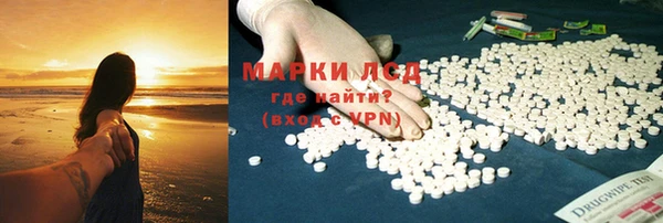 гашик Надым