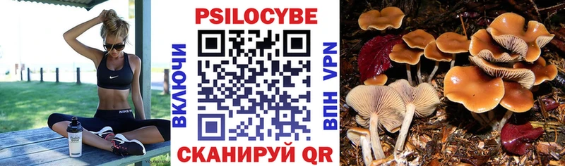 Купить закладки  Судак  Галлюциногенные грибы мухоморы 